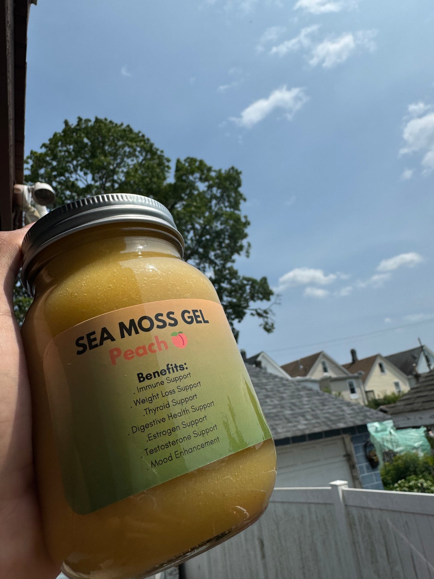 Irish Wildcrafted Sea Moss Gel